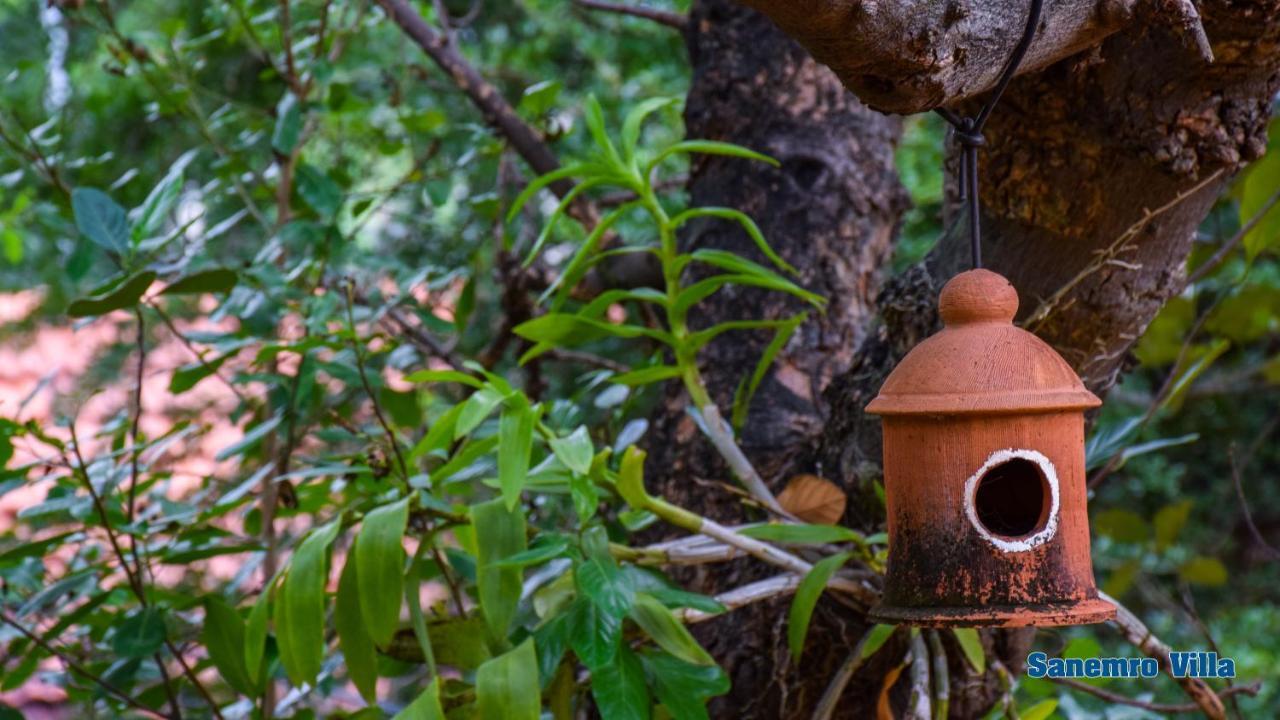 Sanemro Villa Dambulla Dış mekan fotoğraf