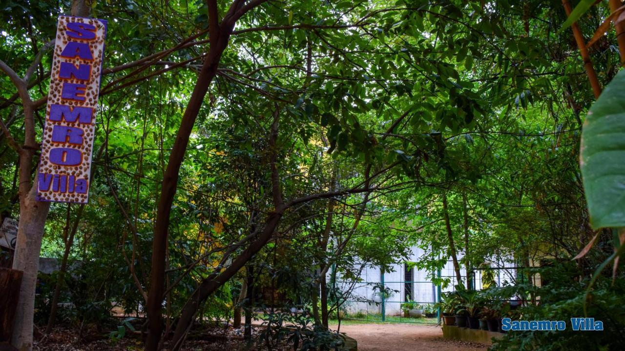 Sanemro Villa Dambulla Dış mekan fotoğraf